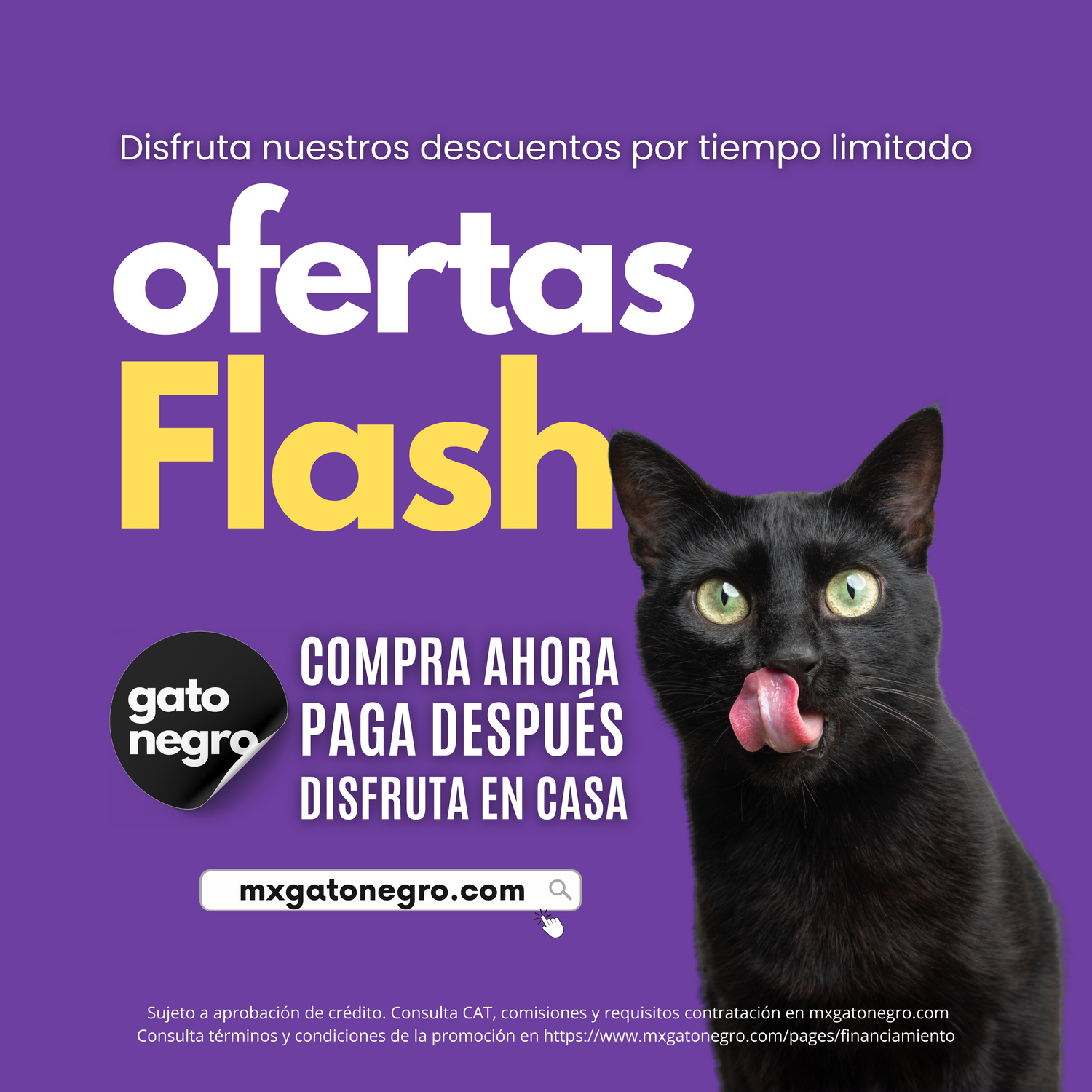 Ofertas Flash