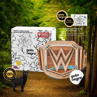 Daniel Bryan Eco-Friendly WWE Championship