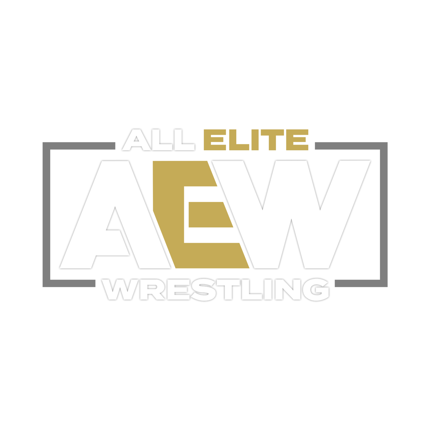 AEW Women’s World Championship Replica Title Belt